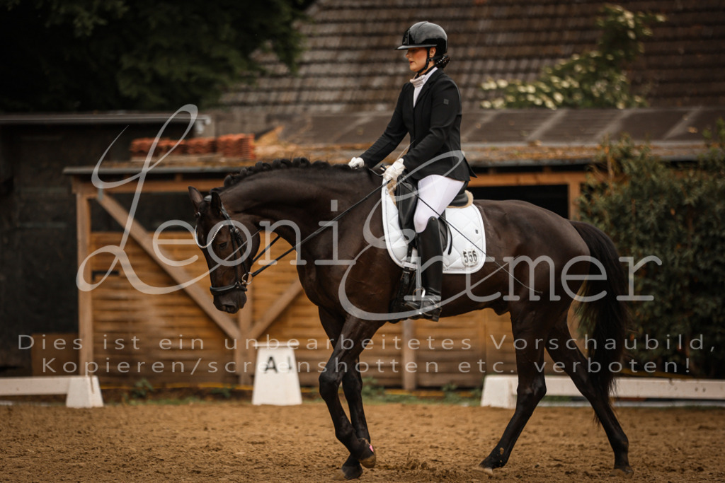 DoDrA200058 | Leoni Ertmer Photography - Realisiert mit Pictrs.com