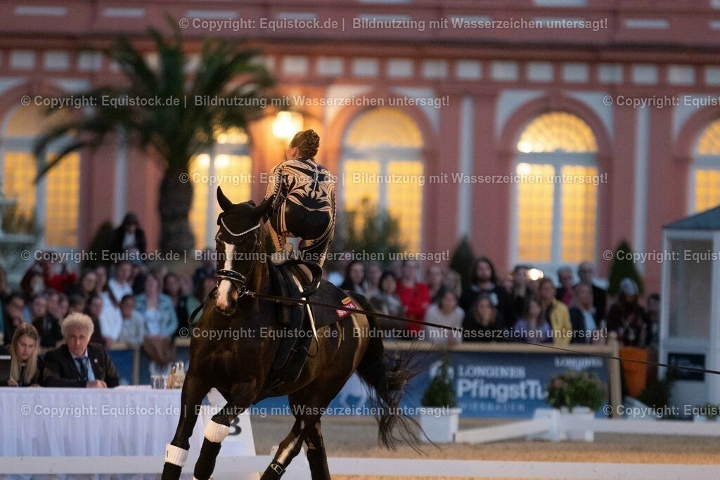 20230527_Voltigieren_NASPA_Flutlicht_0533 | equistock