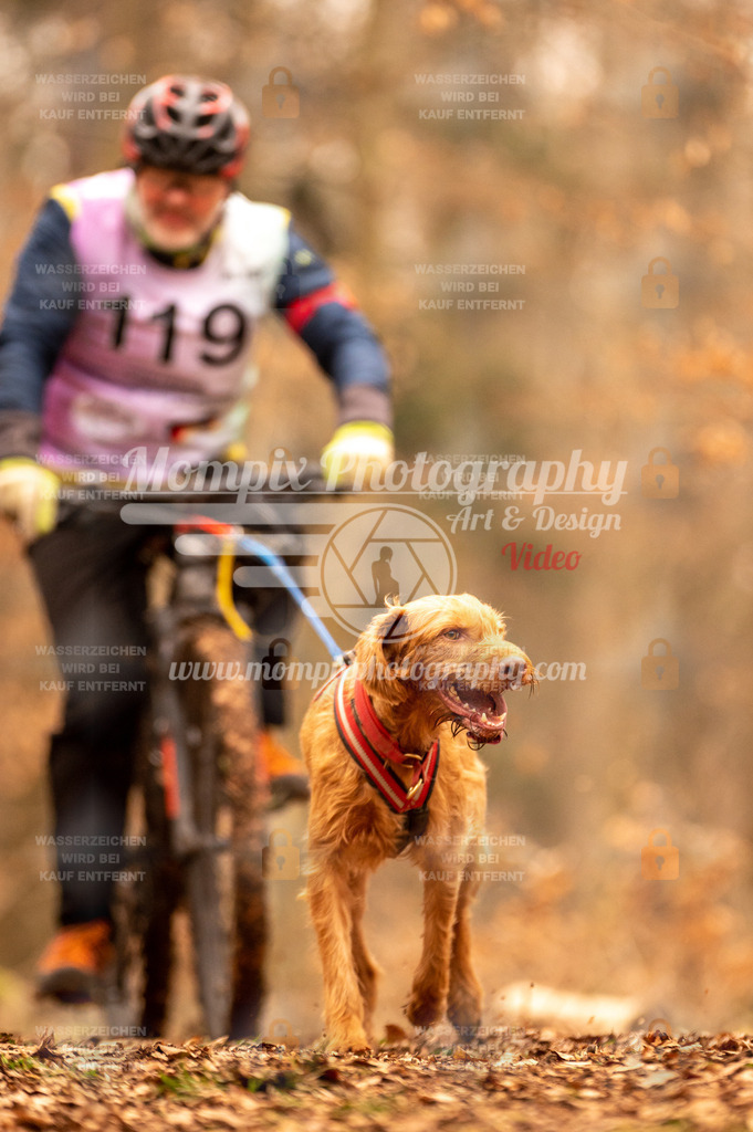 AKM_ST_2023_SAM_Bike-150 | PayLife