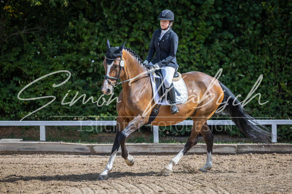 20260905-_3LI7703 | Tierfotografie Pferde, Hunde, Katzen, Haustiere.
Turnierfotografie Reitturniere, Reiten, Springreiten, Dressur in Hanau, dem Main-Kinzig-Kreis und dem Rhein-Main- Gebiet um Frankfurt