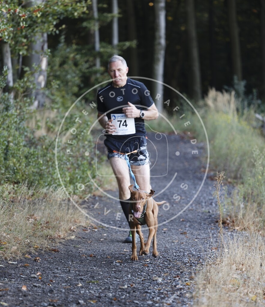 0L8A2003 | Hundefotografie, Tierfotograf, Pfotenfotografie, Fotoshooting Hund, Hunde Portrait, Hundesport, Hundeportraits, Heideshooting, Hunde, Sportfotograf, Hundefotograf, Turnierhundsport, THS,  - Realisiert mit Pictrs.com