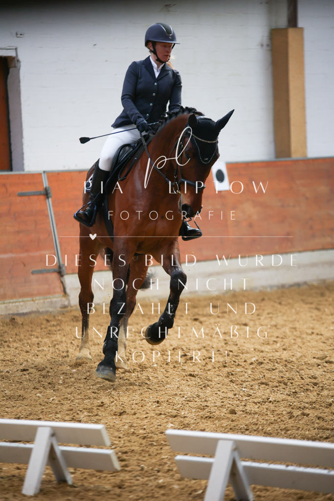 IMGT2182 | pl-fotografie