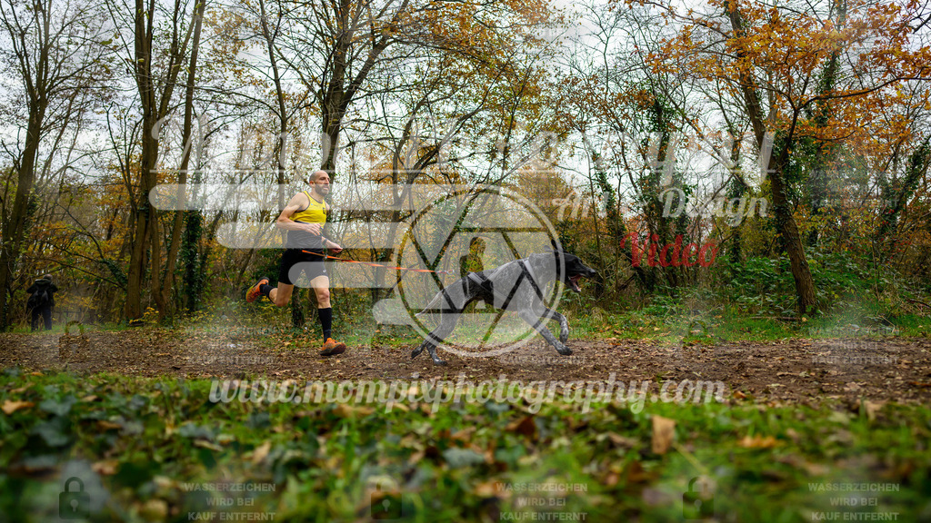 MompixPhotography_Bischwiller24_DI_CoursedeRelais-76 | PayLife