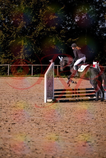 2026_10_03_Siefer-Hof_153510_Z81_46706747 | Professionelle Reitsport-, Turnier- und Eventfotografie von Robert Broda. Galerien mit ausgewählten und bearbeiteten Bildern direkt online ansehen und bestellen.