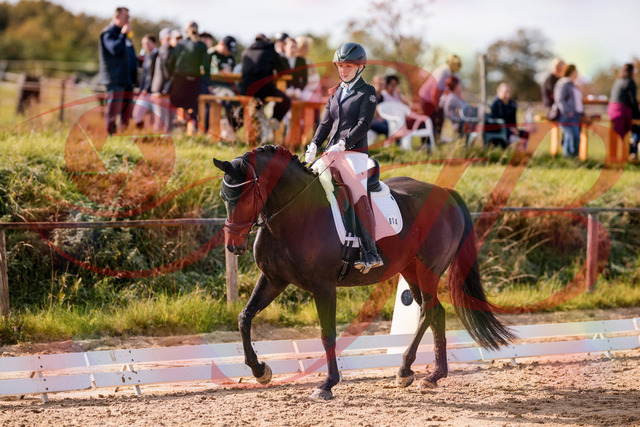 2026_10_03_Siefer-Hof_121335_Z81_13953536 | Professionelle Reitsport-, Turnier- und Eventfotografie von Robert Broda. Galerien mit ausgewählten und bearbeiteten Bildern direkt online ansehen und bestellen.