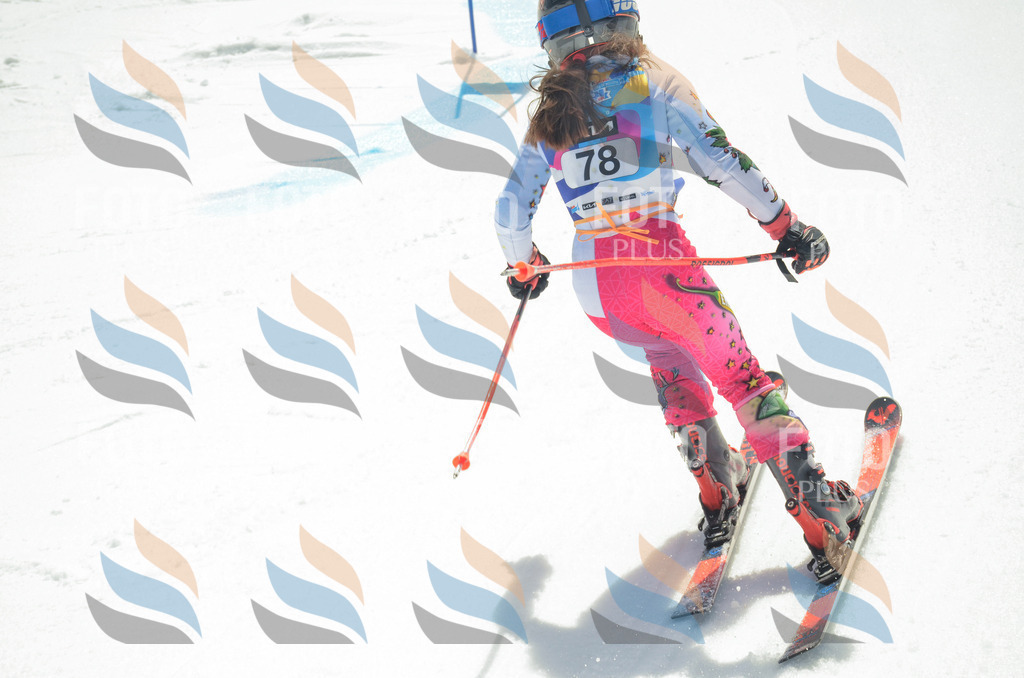 _ELE5533 | holidayphoto