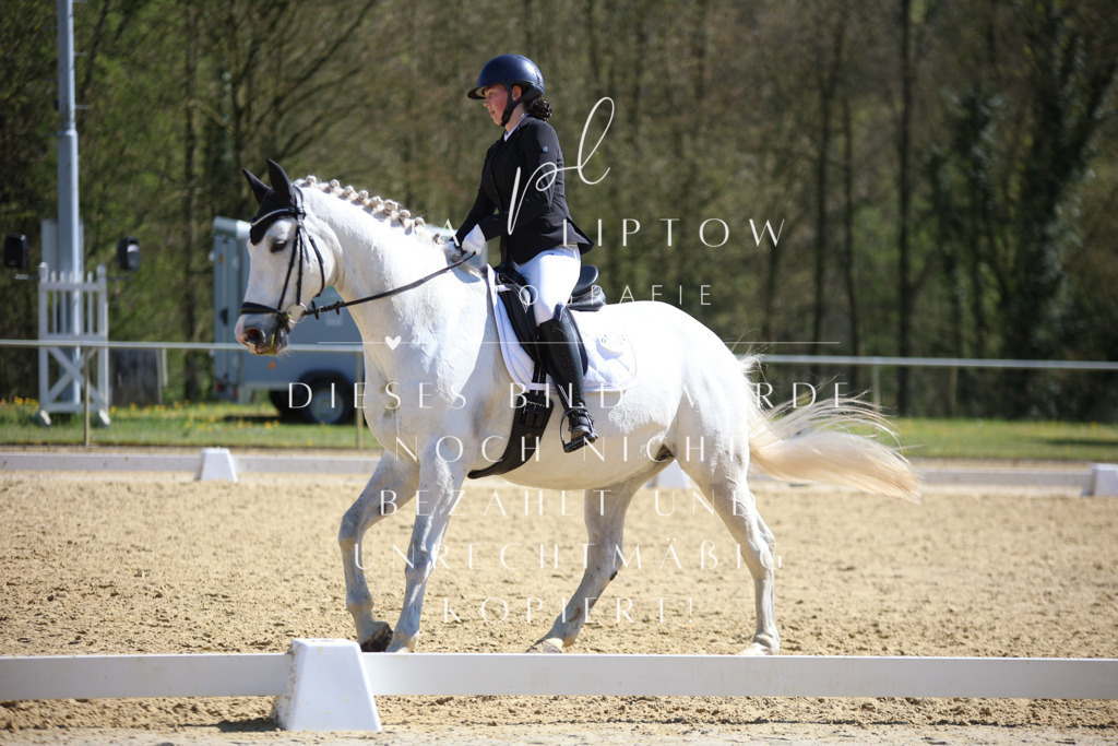 IMGT8100 | pl-fotografie