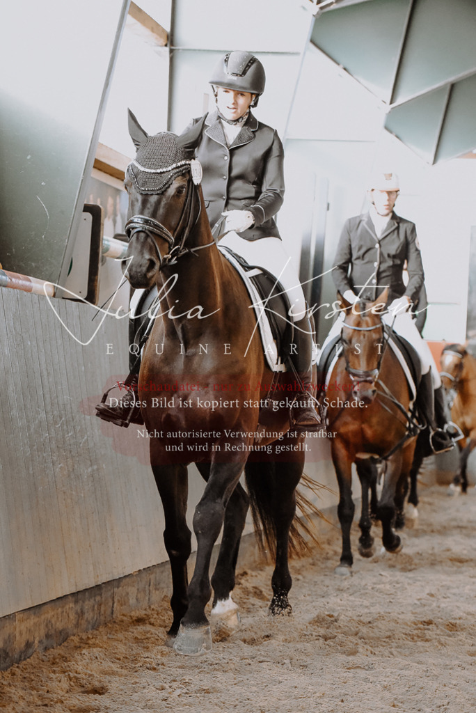 DSC_7572 | Pferde- und Turnierfotografie in Westsachsen. Pferdeportraits, Auftragszeichnungen und intuitive Kunst.