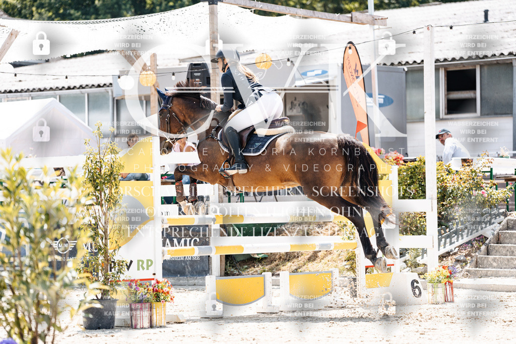 CK907708 | Turnierfotografie Pferdefotografie Trier Rheinland-Pfalz Pferdesport Reitsport Tierfotografie Sportfotografie Pferdevideo Pferdevideografie Equestrianvideography equestrianphotography  - Realisiert mit Pictrs.com
