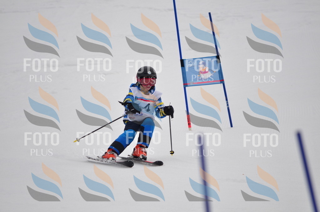 C0208 | holidayphoto