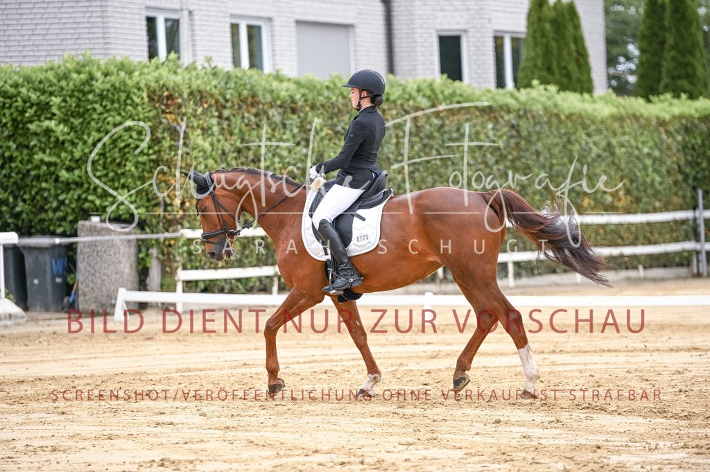 Schugtsche-Aluta25-42.EDressur -114 | Schugtsche Fotografie - Realisiert mit Pictrs.com