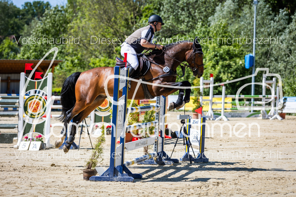 Donop24-M-Spr-020 | MomenTaufnahmen Pferdesportfotos