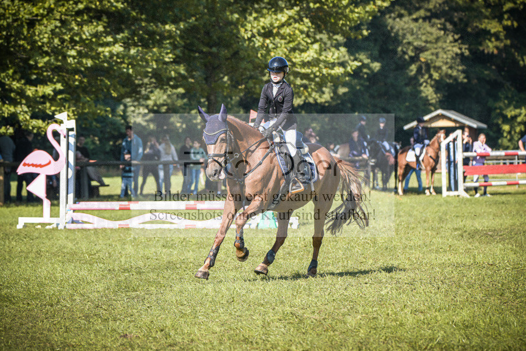 DOS_0460 | Entdecke hochwertige Reitturnierfotos von Foto Oger. Professionell, emotional und authentisch – jetzt Lieblingsmomente im Shop bestellen.Deutschlandweite Turnierfotografie. - Realisiert mit Pictrs.com