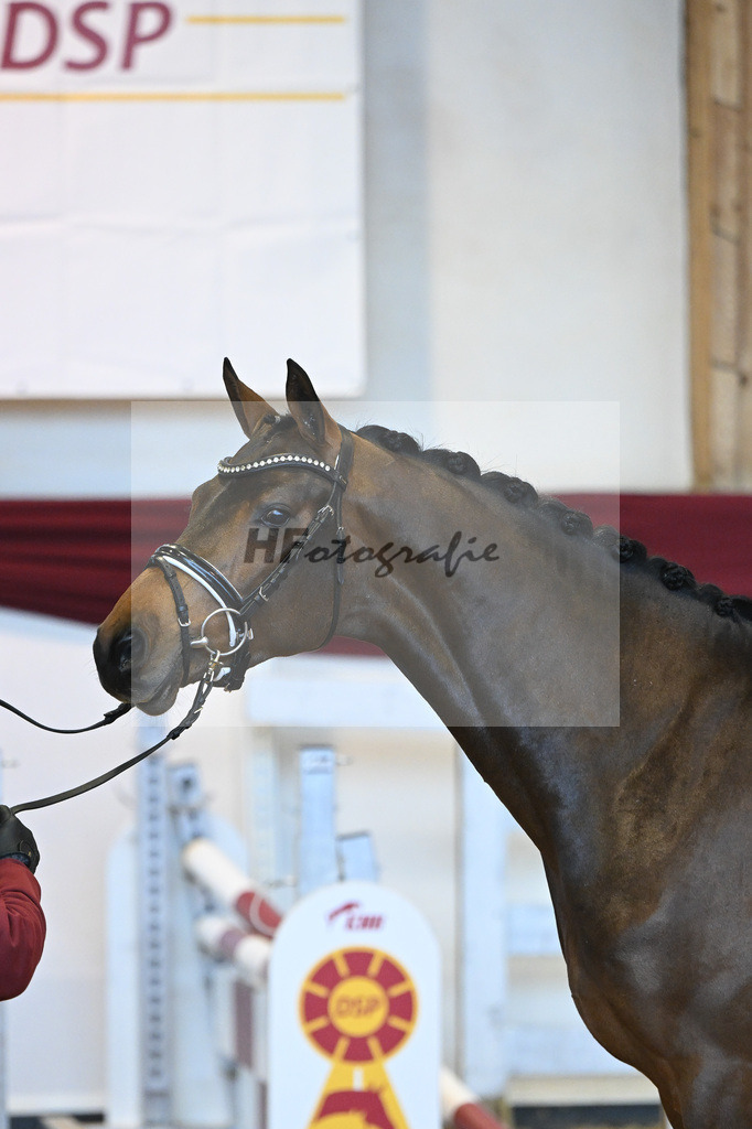 Kat-Nr. 60 v. Zinedream_Schreder_66221348 | hf-fotografie - Realisiert mit Pictrs.com