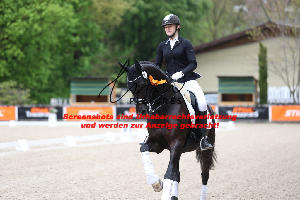 A40A0871 | lmwpictures - Realisiert mit Pictrs.com