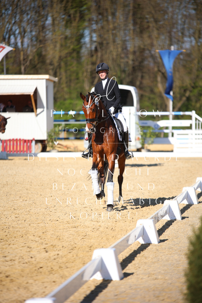 IMGT9159 | pl-fotografie