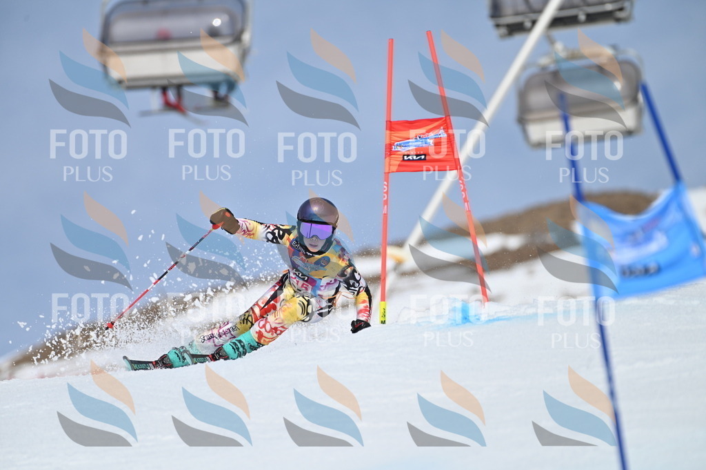 BGV_1208 | holidayphoto