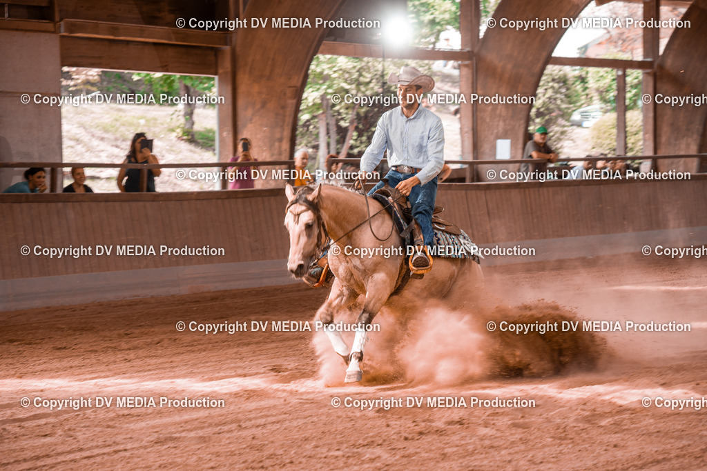 NE300693 | dv-media-shop - Realisiert mit Pictrs.com