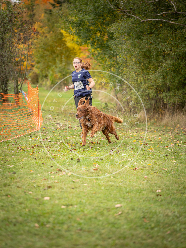 Pfotenfotografie_DV3A3739 | Hundefotografie, Tierfotograf, Pfotenfotografie, Fotoshooting Hund, Hunde Portrait, Hundesport, Hundeportraits, Heideshooting, Hunde, Sportfotograf, Hundefotograf, Turnierhundsport, THS,  - Realisiert mit Pictrs.com