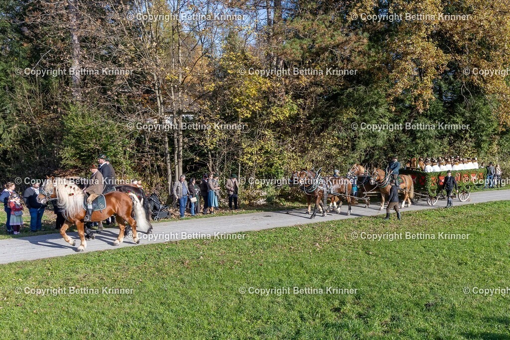 LBT24-259 | foto-bettina-krinner - Realisiert mit Pictrs.com