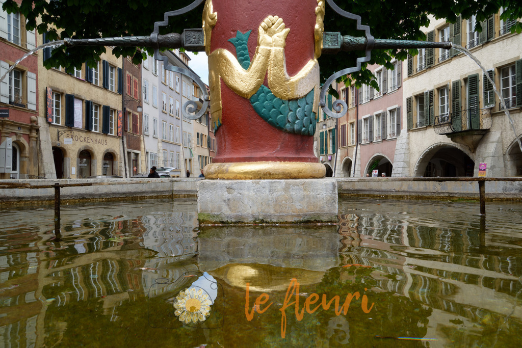 Der Brunnen in der vieille ville | Dies ist der Shop von Florian Blum - le fleuri. Langenthal, Bern, SchweizSie können hier meine oder ihre eigenen Fotos als Fotoprodukte kaufen. Tassen, Schlüsselanhänger, Taschen etc. können Sie hier gestalten.  - Realisiert mit Pictrs.com