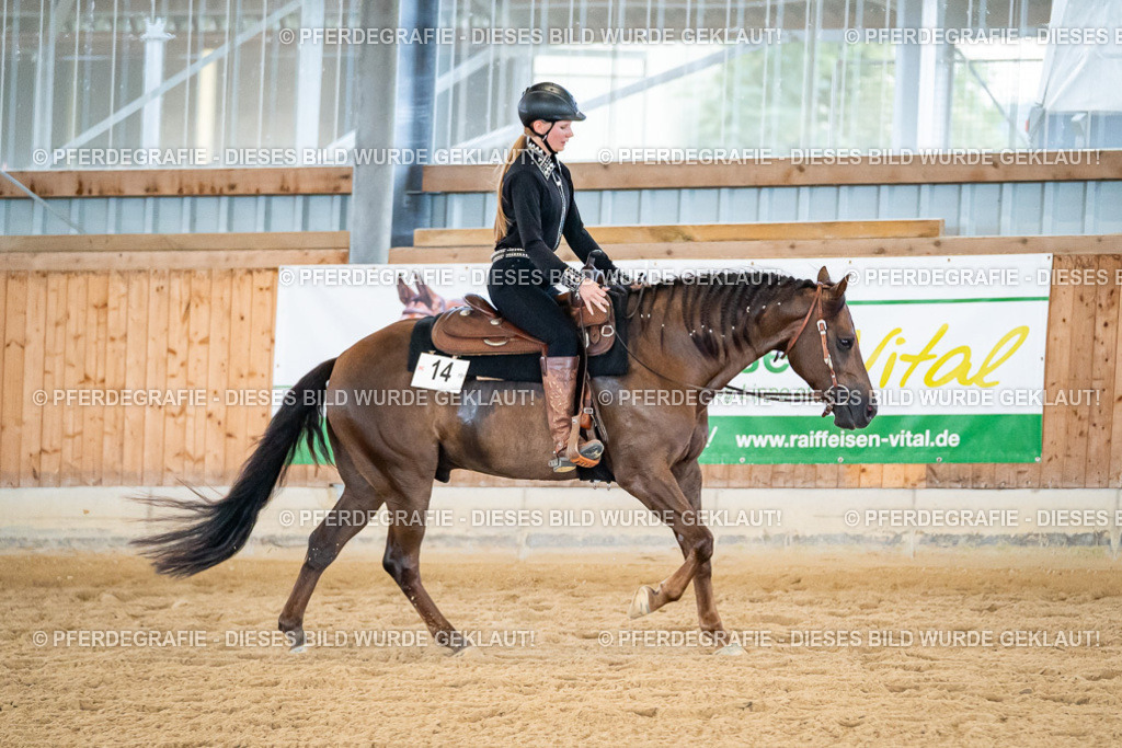 DSC09207 | Pferdegrafie