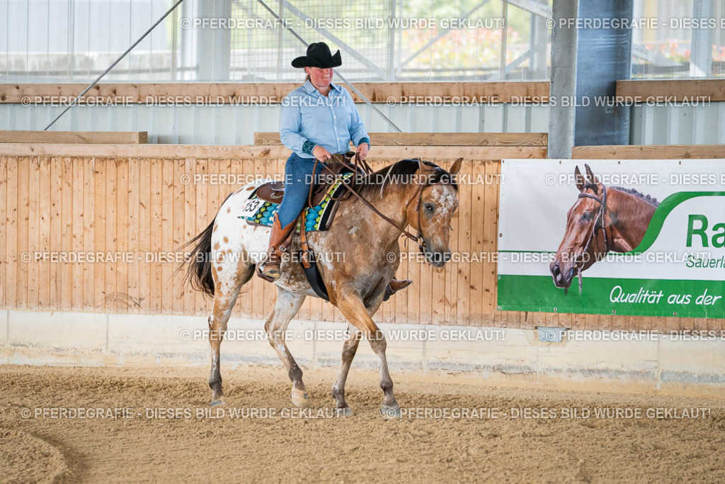 DSC02129 | Pferdegrafie