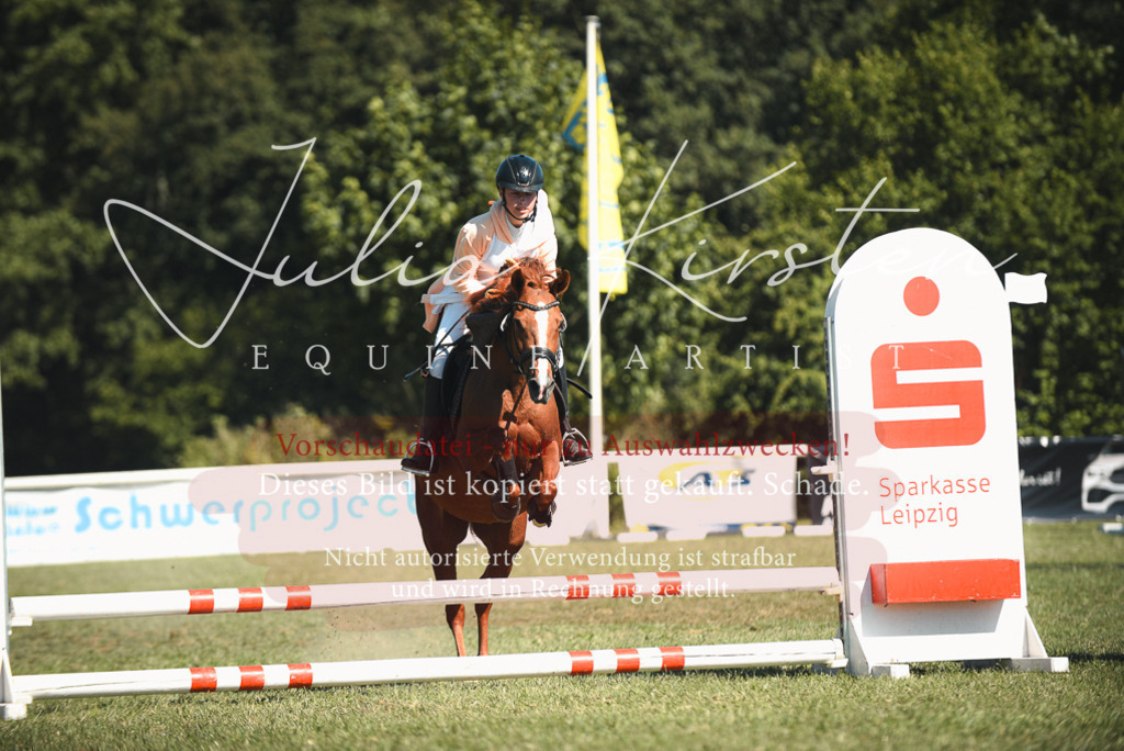 DSC_7381 | Pferde- und Turnierfotografie in Westsachsen. Pferdeportraits, Auftragszeichnungen und intuitive Kunst.