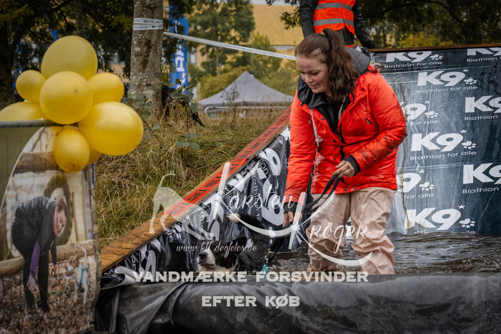 1212_ZZ94699 | kk-dogfotos