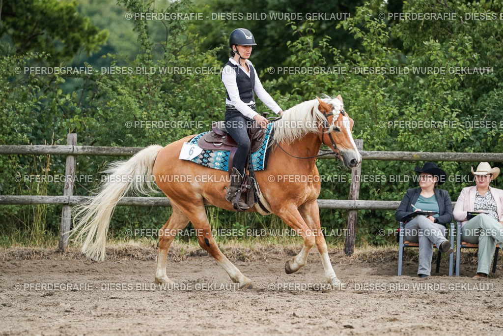 DSC03526 | Pferdegrafie