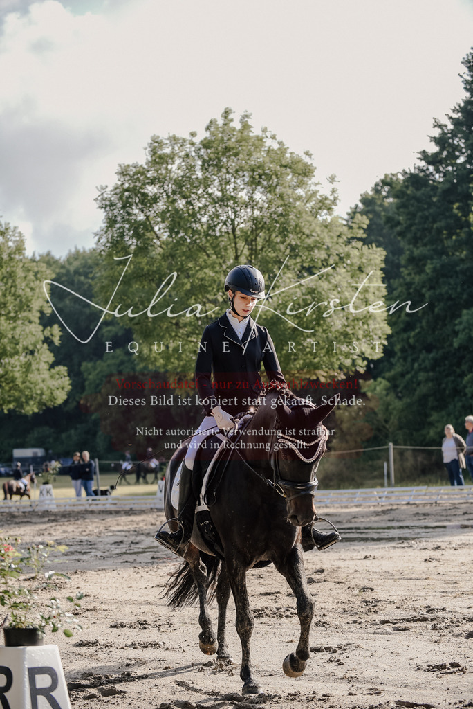 DSC_7802 | Pferde- und Turnierfotografie in Westsachsen. Pferdeportraits, Auftragszeichnungen und intuitive Kunst.