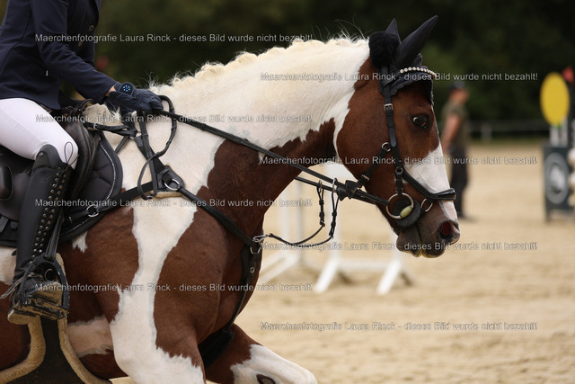HG9A4915 | laurarinckfotografie - Realisiert mit Pictrs.com