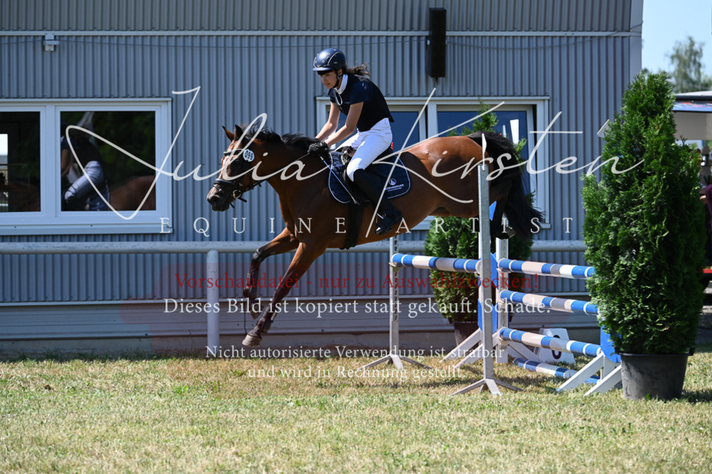 DSC_0830 | Pferde- und Turnierfotografie in Westsachsen. Pferdeportraits, Auftragszeichnungen und intuitive Kunst.