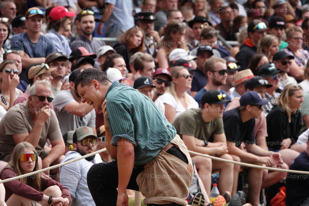 DSC01325 | Schwingen - Realisiert mit Pictrs.com