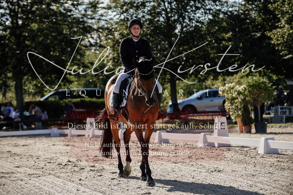 DSC_0309 | Pferde- und Turnierfotografie in Westsachsen. Pferdeportraits, Auftragszeichnungen und intuitive Kunst.