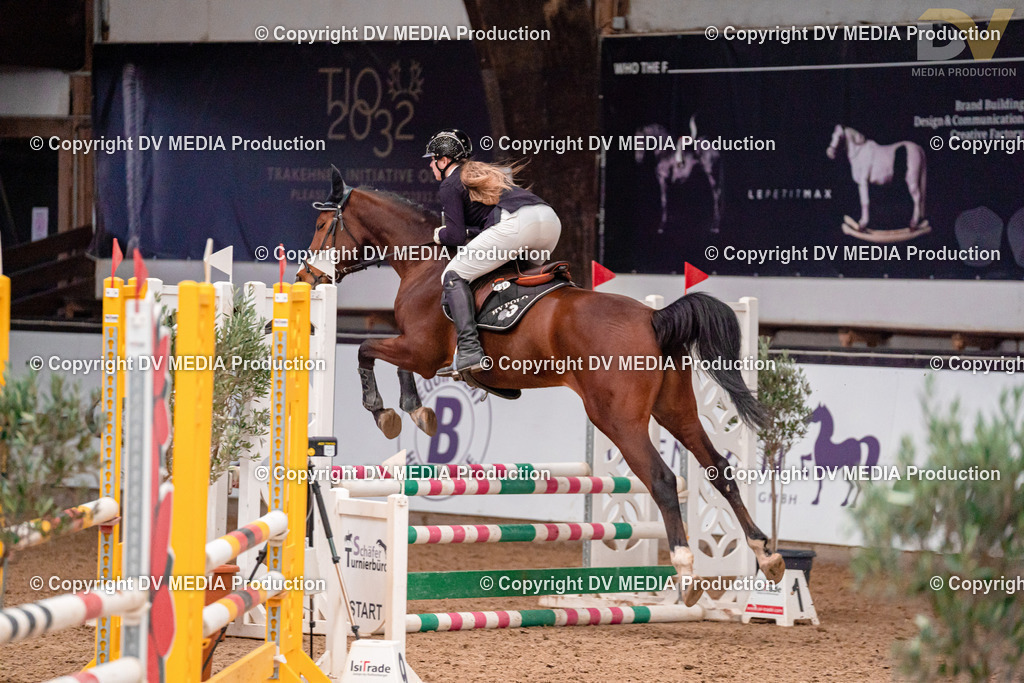 Kranichstein II Tag 1-268 | dv-media-shop - Realisiert mit Pictrs.com