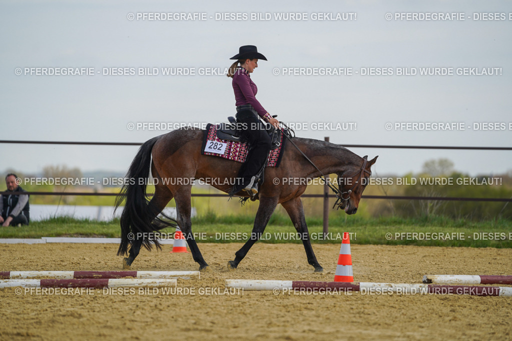 DSC05034 | Pferdegrafie