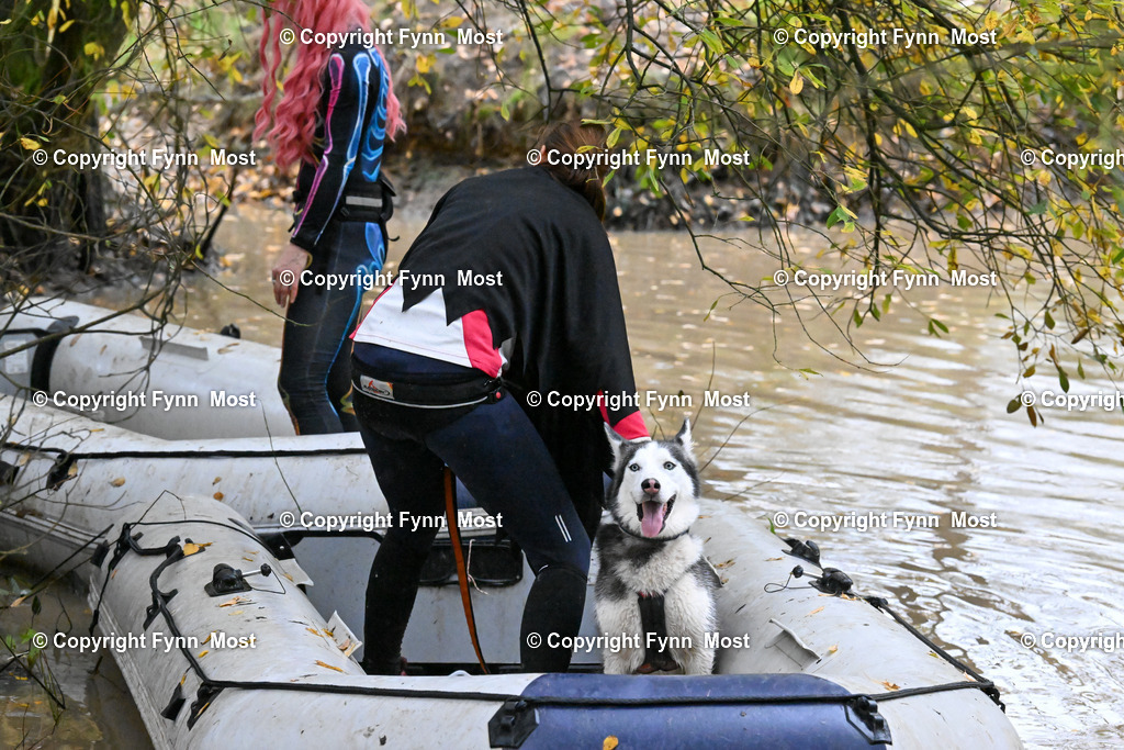 DSC_6647 | Hallo und herzlich Willkommen auf meiner Shop-Seite Fynn Most.

Ich wünsche Dir viel Spaß beim stöbern durch die Bilder, wenn Du Fragen hast oder Bilder vermisst, kannst du mir gerne eine Nachricht schreiben. - Realisiert mit Pictrs.com