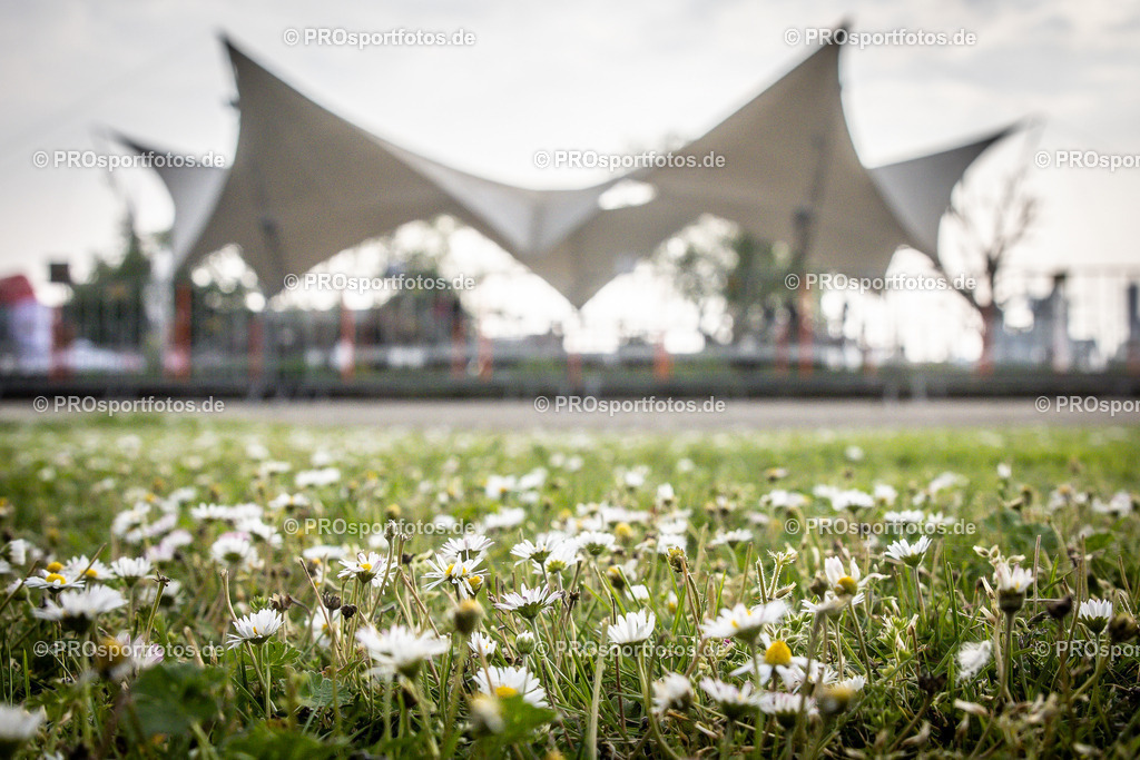 21. ASV Nachtlauf; Koeln, 08.05.24 | Impressionen vom 21. ASV Nachtlauf am 08.05.24 am Tanzbrunnen in Koeln. Foto: BEAUTIFUL SPORTS/Axel Kohring