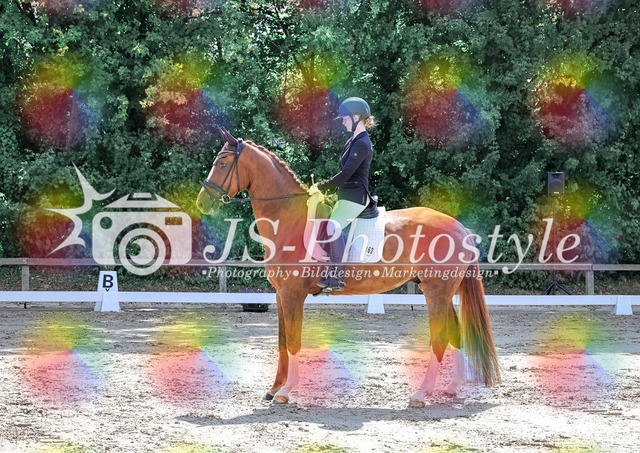 20250726_Dressurreiterprfg_Kl.L-119 | JS-Photostyle - Sport-/Portrait- & Eventfotografie