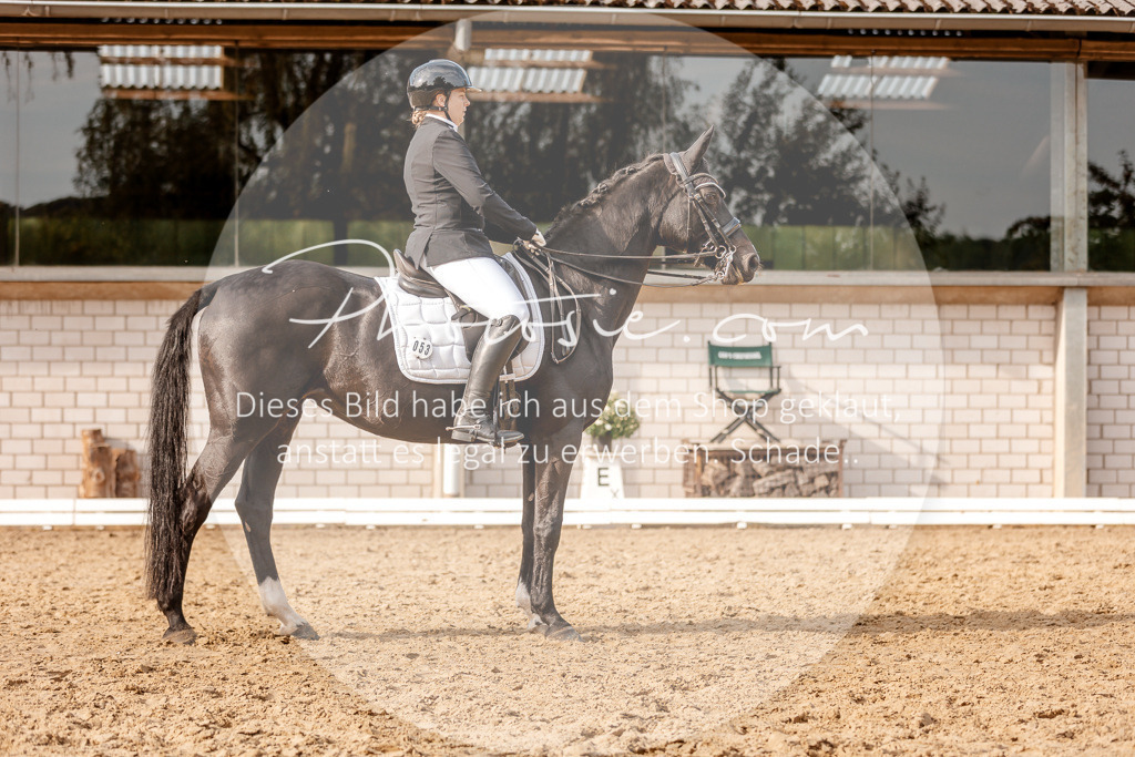 3I6A2922 | Stimmungsvolle Portraits und Reitsportfotografie im Ruhrgebiet und im Münsterland.

Pferdefotografie, Hundefotografie, Tierfotografie, Reportagen, Portraits von Tier und Mensch, Turnierfotografie in Bochum, Recklinghausen, Marl, Haltern am See, Dülmen.. - Realisiert mit Pictrs.com