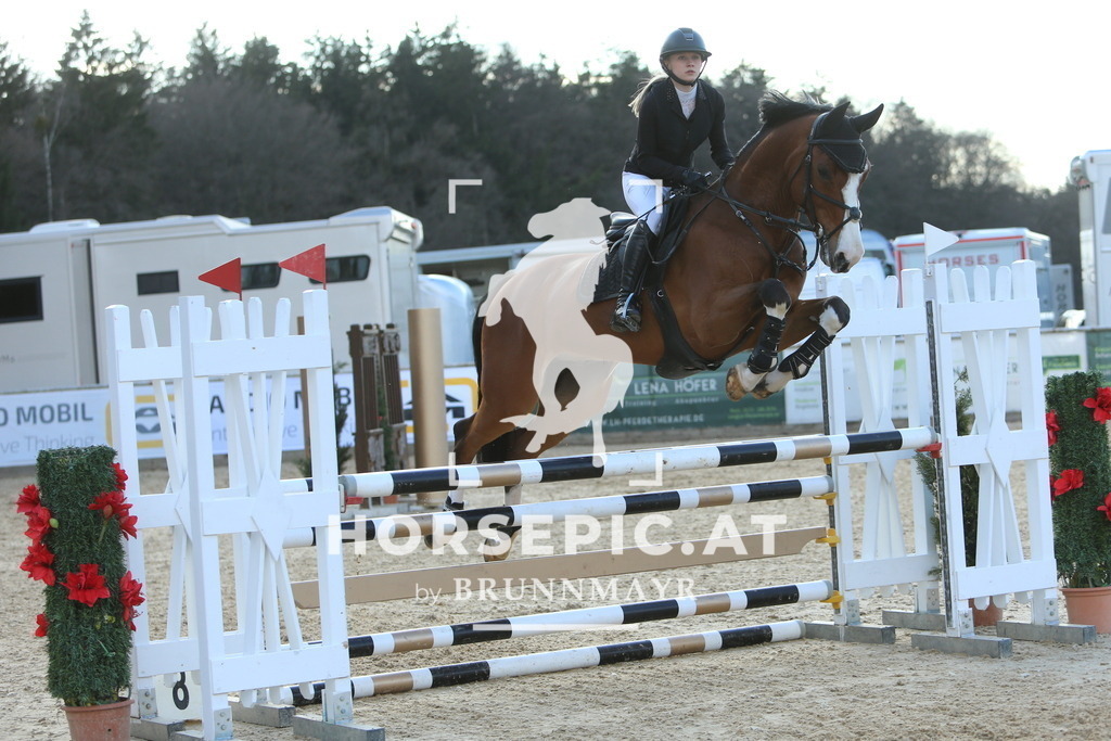 DL2Q0823 | Willkommen bei Brunnmayr - Design & Fotografie – Ihrem Spezialisten für Reitturniere und Pferdeveranstaltungen in Oberösterreich, Salzburg und Bayern! Seit über 17 Jahren sind wir leidenschaftlich dabei.