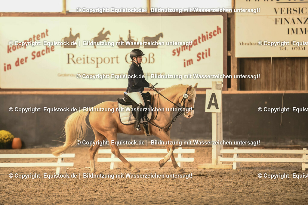 03_Reiter-WB_0093 | Foto: Thomas Hartig