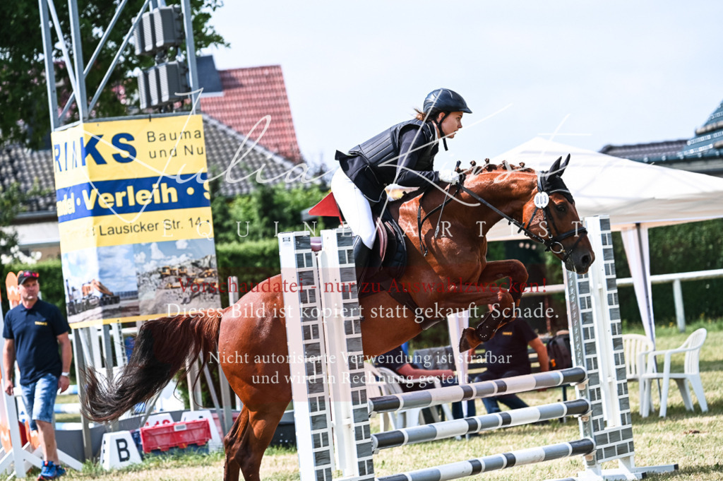 DSC_8846 | Pferde- und Turnierfotografie in Westsachsen. Pferdeportraits, Auftragszeichnungen und intuitive Kunst.