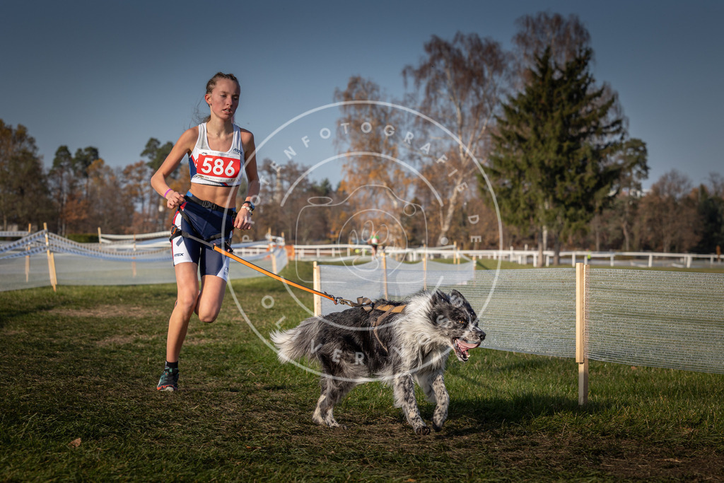 CaniXpix_0L8A9818 | Hundefotografie, Tierfotograf, Pfotenfotografie, Fotoshooting Hund, Hunde Portrait, Hundesport, Hundeportraits, Heideshooting, Hunde, Sportfotograf, Hundefotograf, Turnierhundsport, THS,  - Realisiert mit Pictrs.com