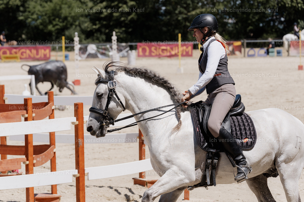 WM_SP_83_SinaFilmArt_IN07167 | working equitationturnier fotograf videograf stoibphotography marixx film working equitation deutschland reitsport turnierfotografie eventfotografie equestrian events