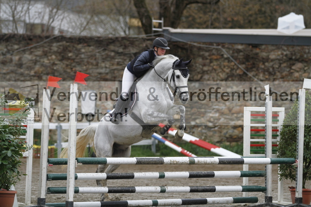 _MG_3604 | equestrian-live-com