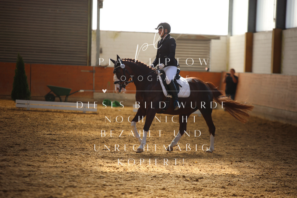 IMGT6638 | pl-fotografie