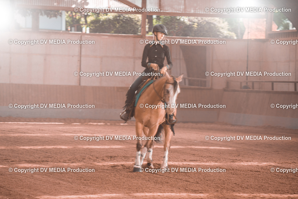 NE201113 | dv-media-shop - Realisiert mit Pictrs.com