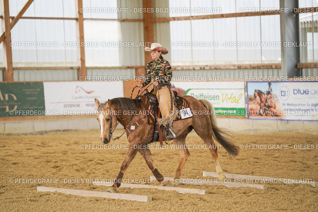 DSC03363 | Pferdegrafie